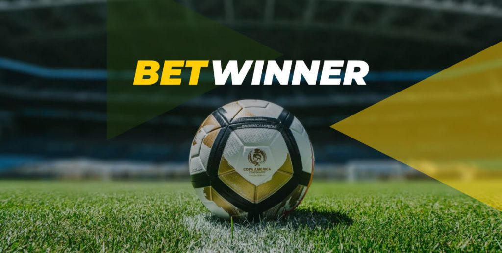 Exploring the Betwinner Experience A Guide to Winning Exploring the Betwinner Experience A Guide to Winning