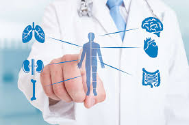 Pocit Nevoľnosti Počas Cestovania Príčiny, Prevencia a Riešenia