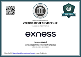 Understanding the Exness Server Problem and Its Impacts